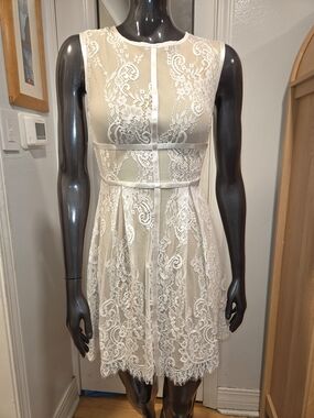 Banjul Stuning Ivory Lace Mini Dress with Sheer Panels Sz S